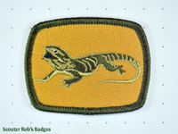 Click to enlarge Lizard